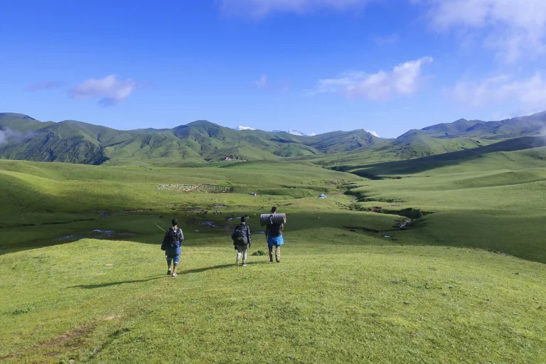 Beautiful grassland of Badimalika, Nepal.