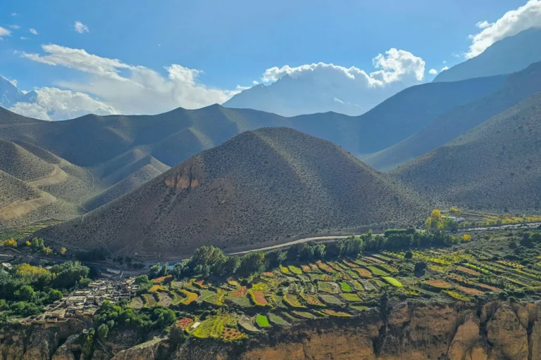 upper mustang